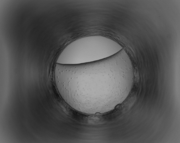 X0000088140418200705141035