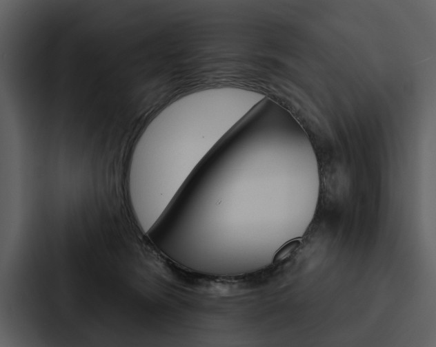 X0000088140420200705141035