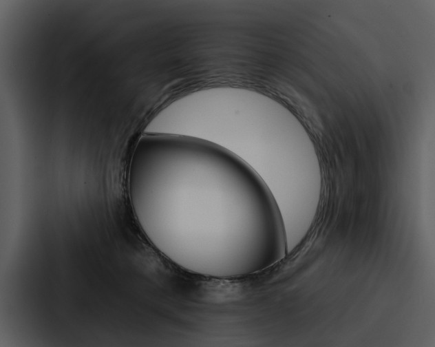 X0000088140421200705141035