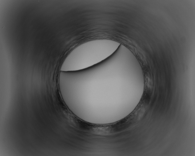 X0000088140422200705141035