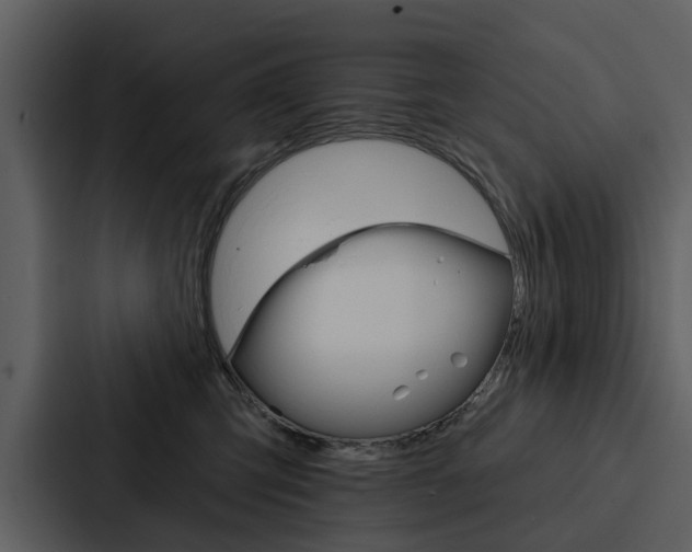 X0000088140423200705141035