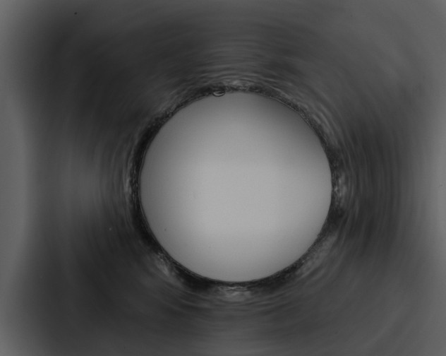 X0000088140424200705141035