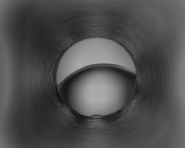 X0000088140428200705141035