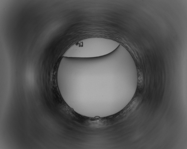 X0000088140430200705141035