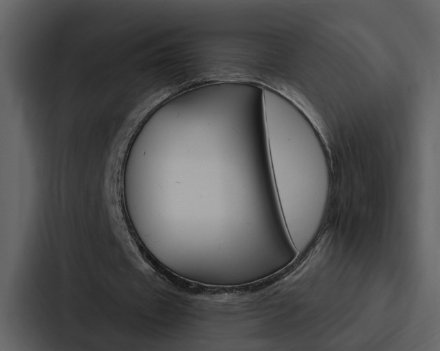 X0000088140433200705141035