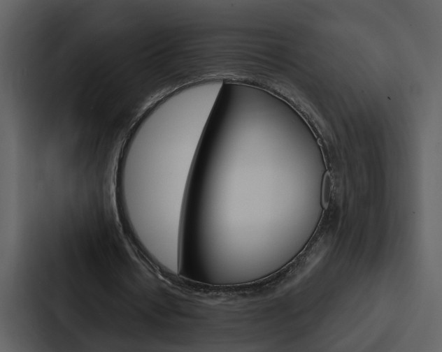 X0000088140434200705141035