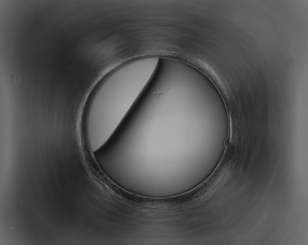X0000088140435200705141035