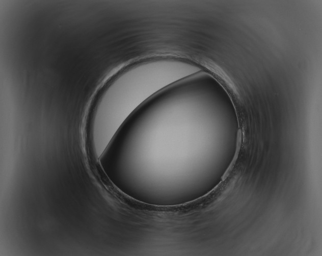 X0000088140436200705141035