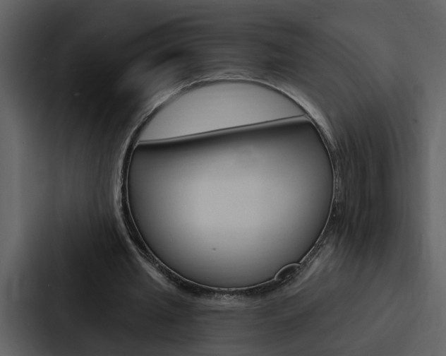 X0000088140437200705141035