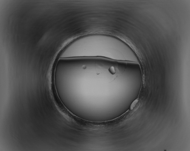 X0000088140438200705141035