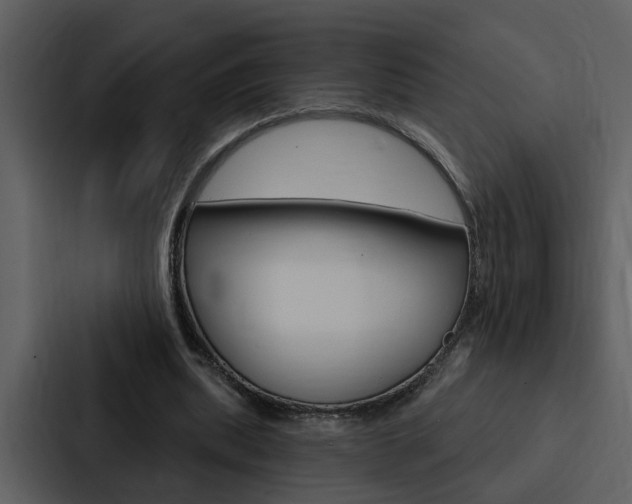 X0000088140439200705141035