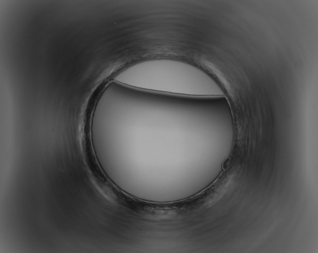 X0000088140443200705141035