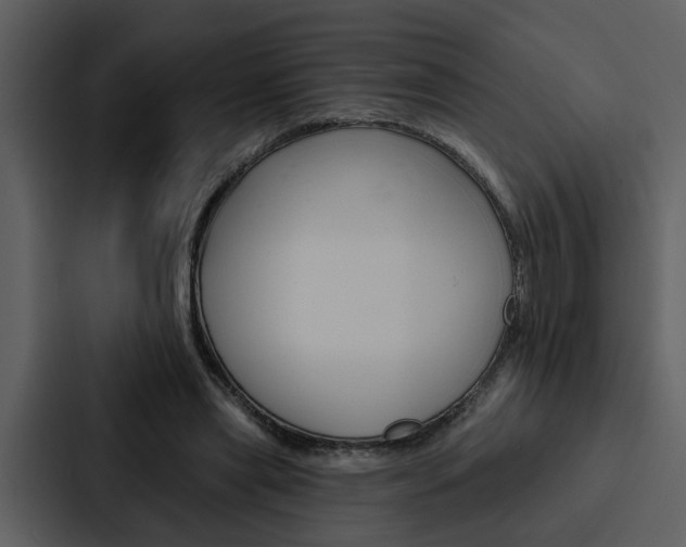 X0000088140445200705141035