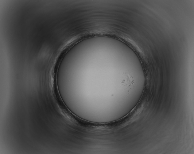 X0000088140446200705141035