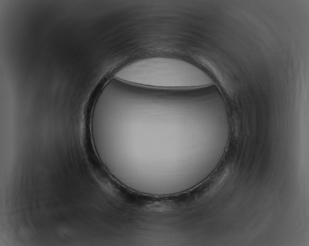 X0000088140447200705141035