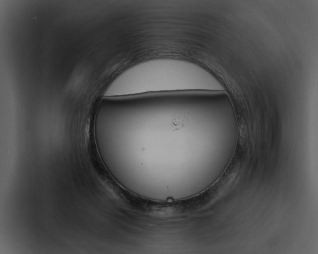 X0000088140454200705141035
