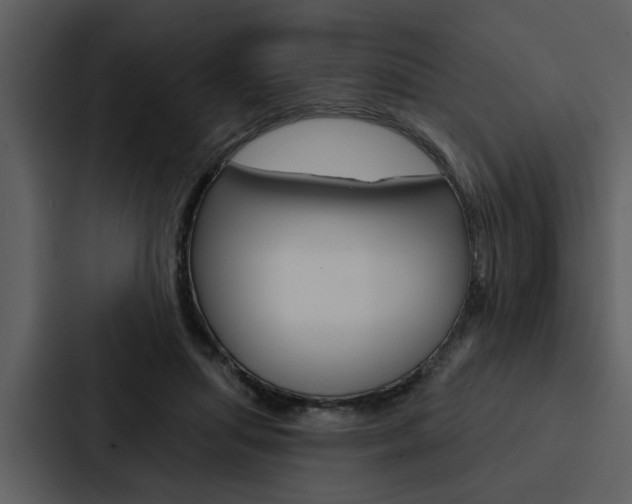X0000088140455200705141035