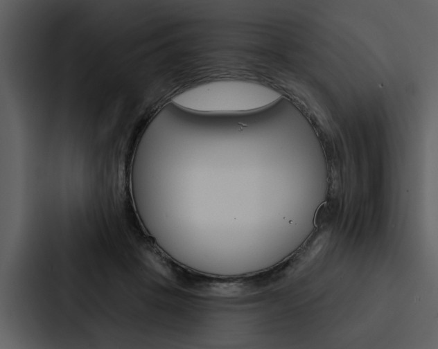 X0000088140457200705141035