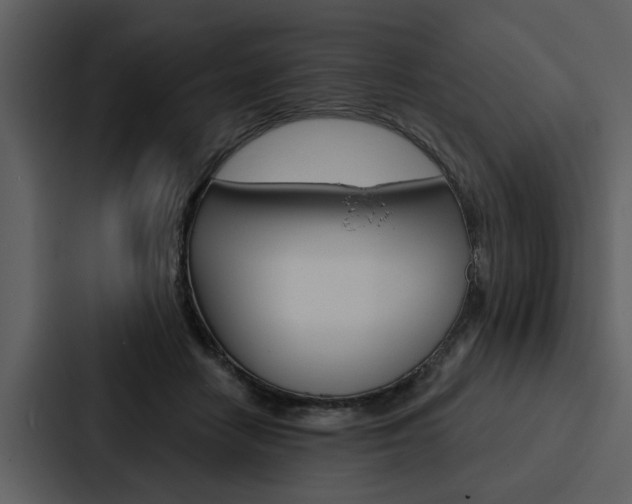 X0000088140458200705141035
