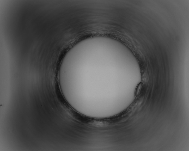 X0000088140464200705141035