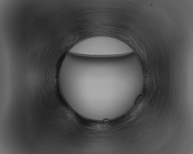 X0000088140466200705141035