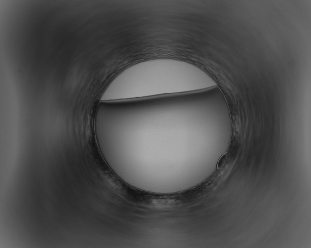 X0000088140470200705141035