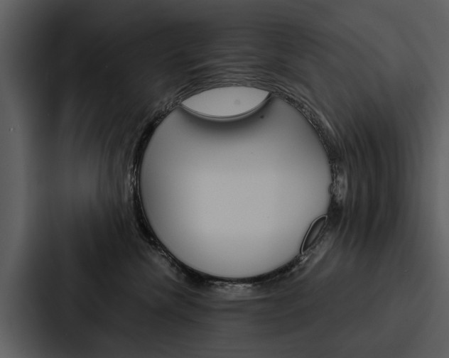 X0000088140476200705141035