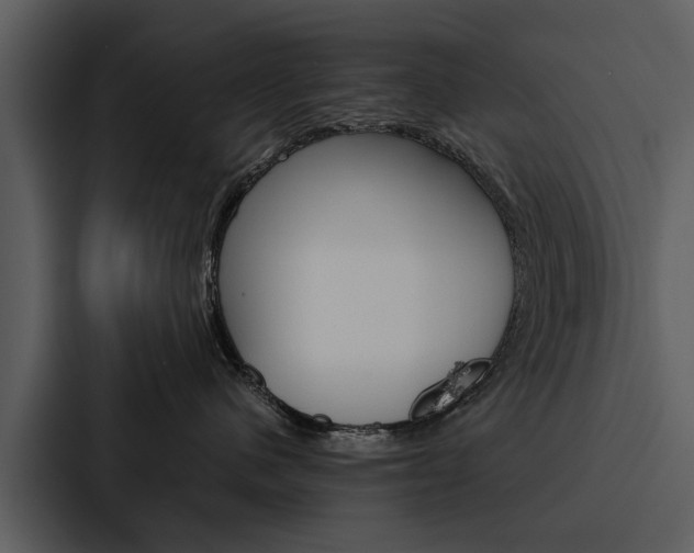 X0000088140480200705141035