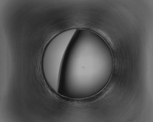 X0000088140481200705141035