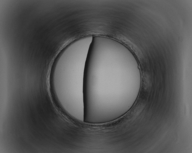 X0000088140482200705141035
