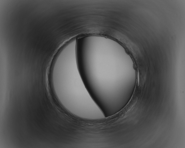 X0000088140483200705141034