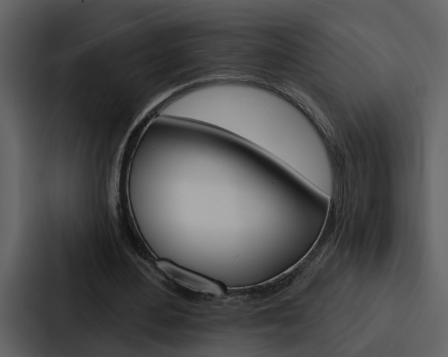 X0000088140484200705141034