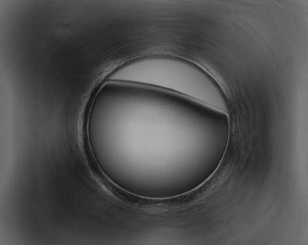 X0000088140485200705141034