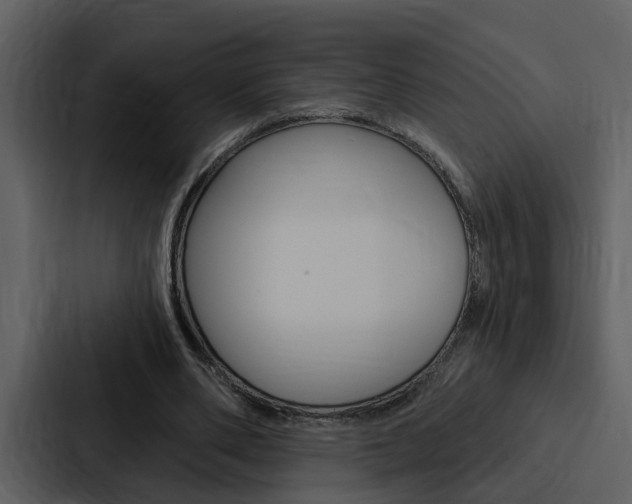 X0000088140486200705141034