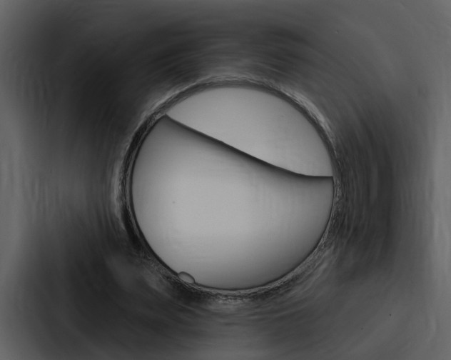 X0000088140487200705141034