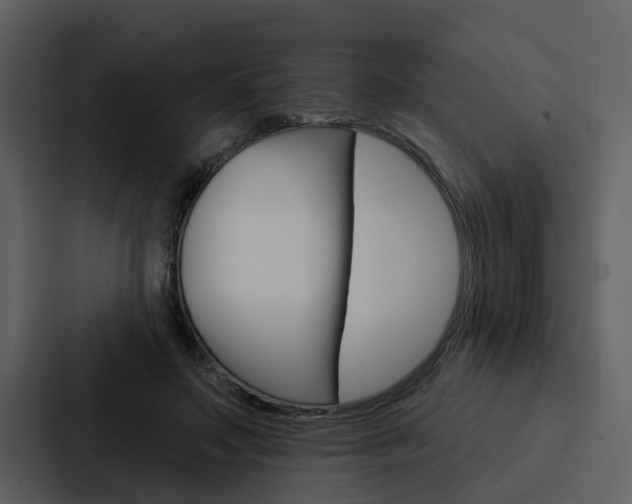 X0000088140499200705141034