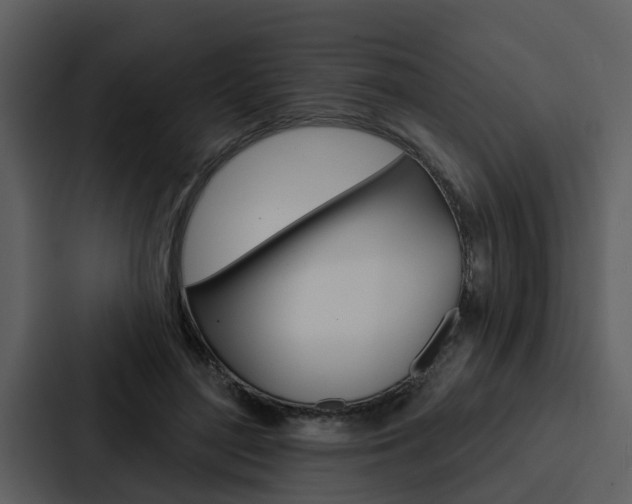 X0000088140500200705141034