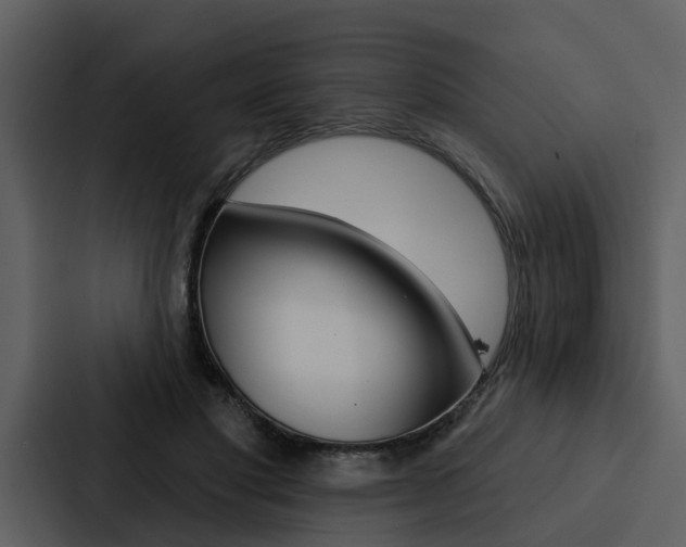 X0000088140501200705141034