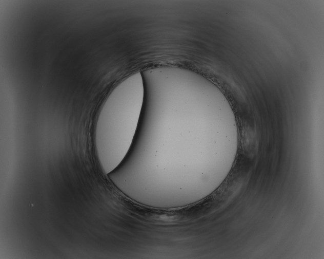 X0000088140506200705141034