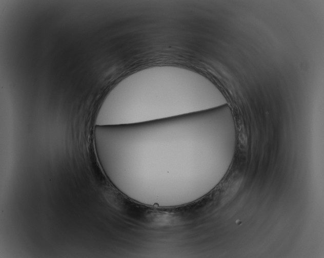 X0000088140507200705141034
