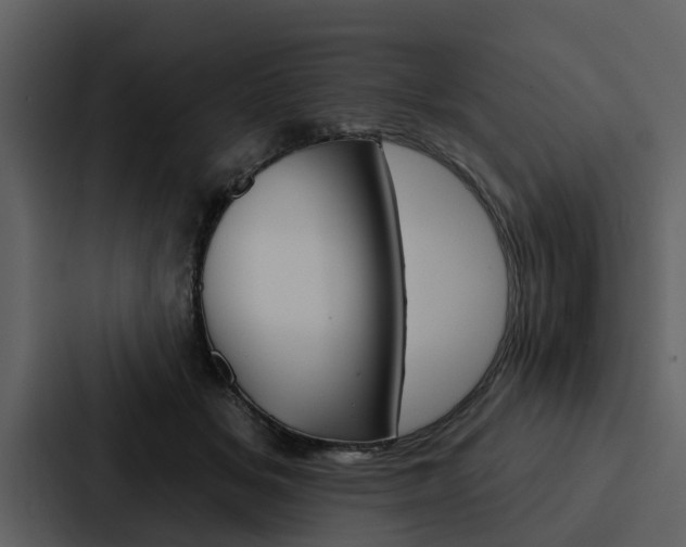 X0000088140509200705141034