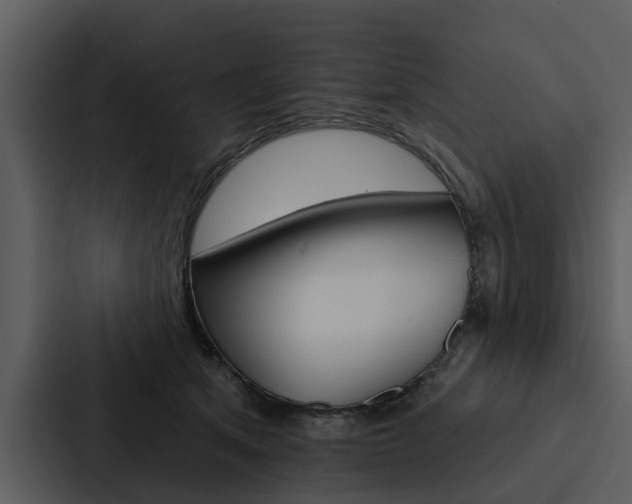 X0000088140513200705141034