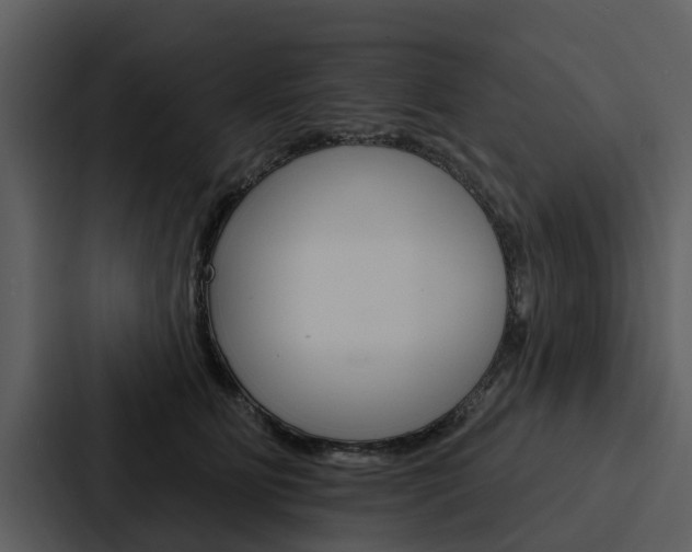 X0000088140515200705141034