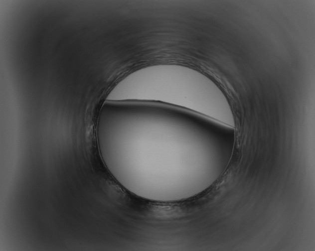 X0000088140521200705141034