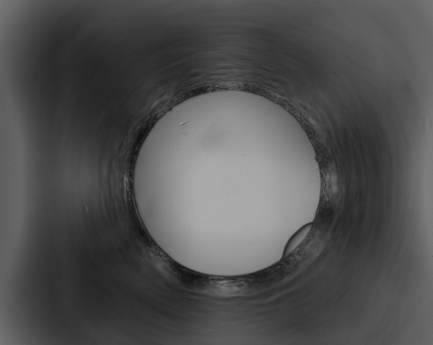 X0000088140522200705141034