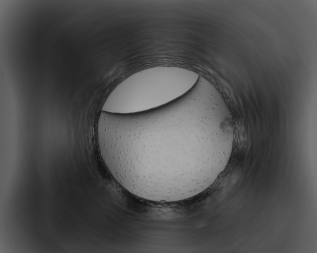 X0000088140523200705141034