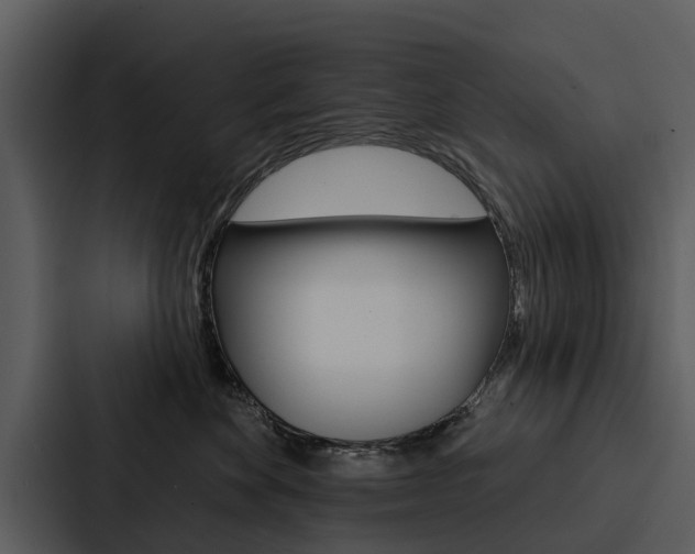 X0000088140524200705141034