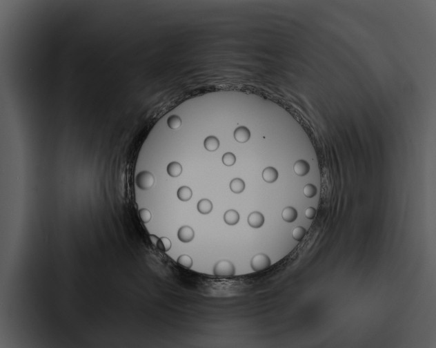 X0000088140527200705141034