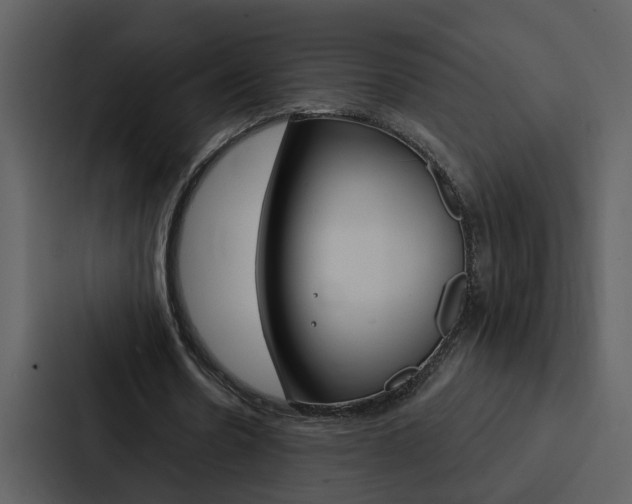 X0000088140530200705141033