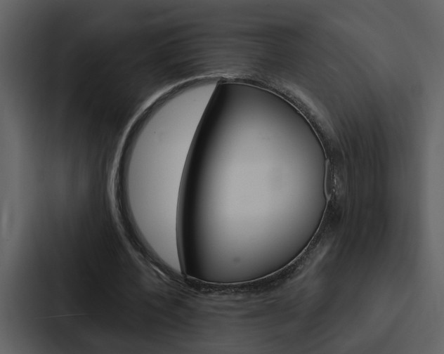 X0000088140532200705141033